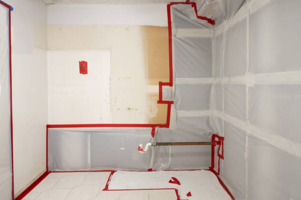 Best Attic Mold Removal  in Raceland, KY