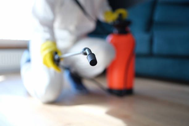Best Mold Documentation for Insurance Claims  in Raceland, KY