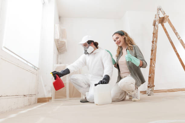  Raceland, KY Mold Removal Pros